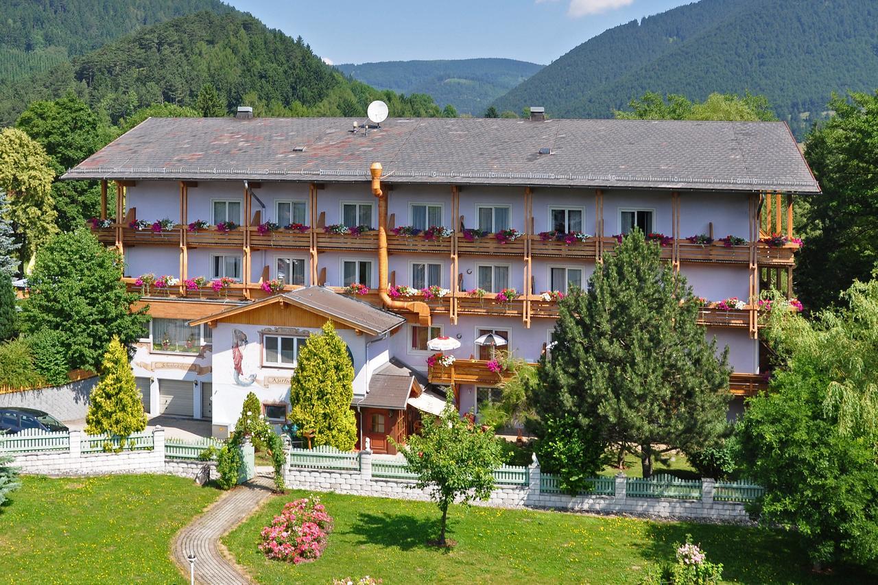 Wellnesshotel Paradiesquelle Puchberg am Schneeberg Bagian luar foto